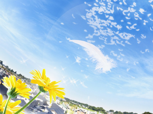 400346 (a): :1600x1200